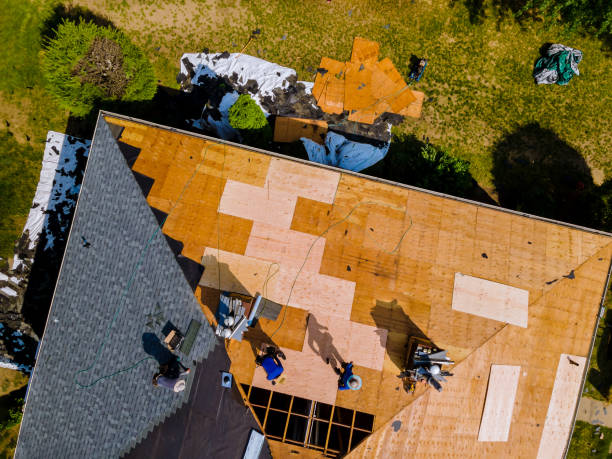 Quick and Trustworthy Emergency Roof Repair Services in Bay Pines, FL