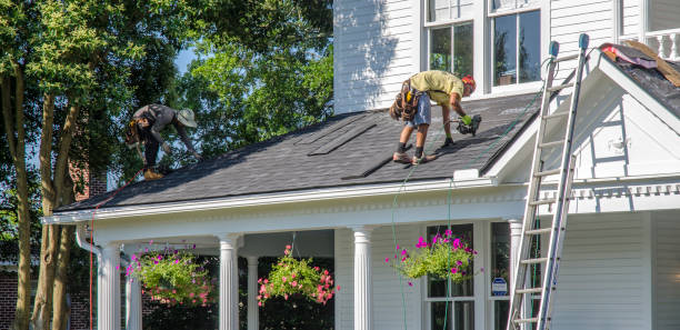 Best Storm Damage Roof Repair  in Bay Pines, FL